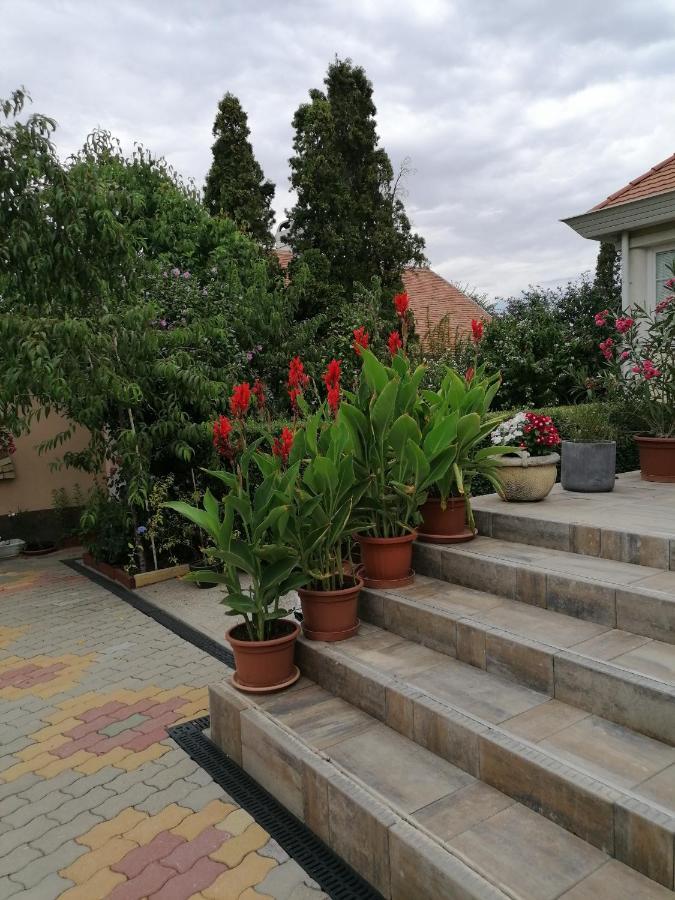 Kaktuszvirag Apartmanhaz Hajdúszoboszló Εξωτερικό φωτογραφία