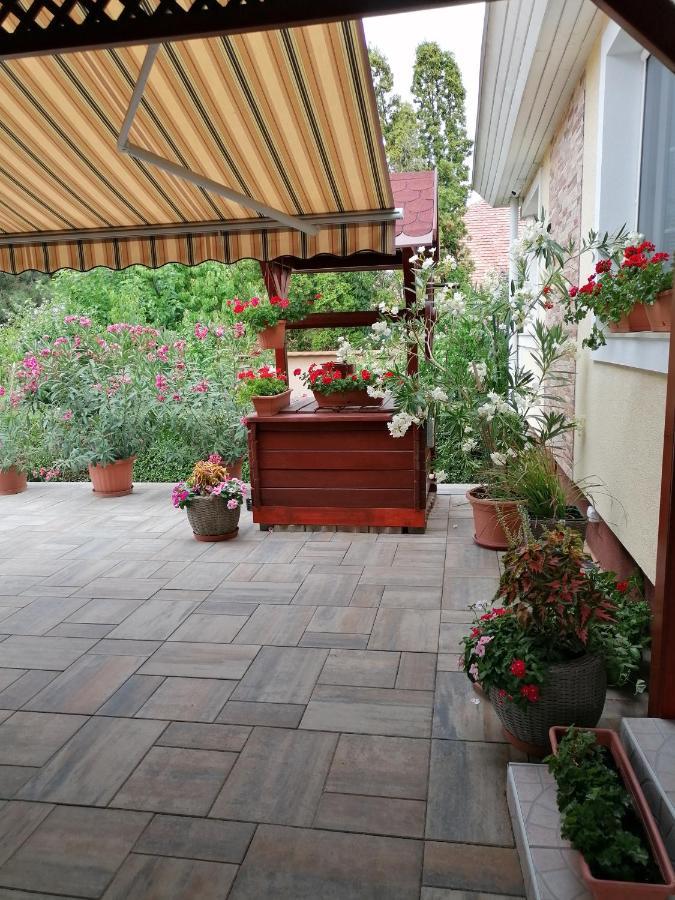 Kaktuszvirag Apartmanhaz Hajdúszoboszló Εξωτερικό φωτογραφία