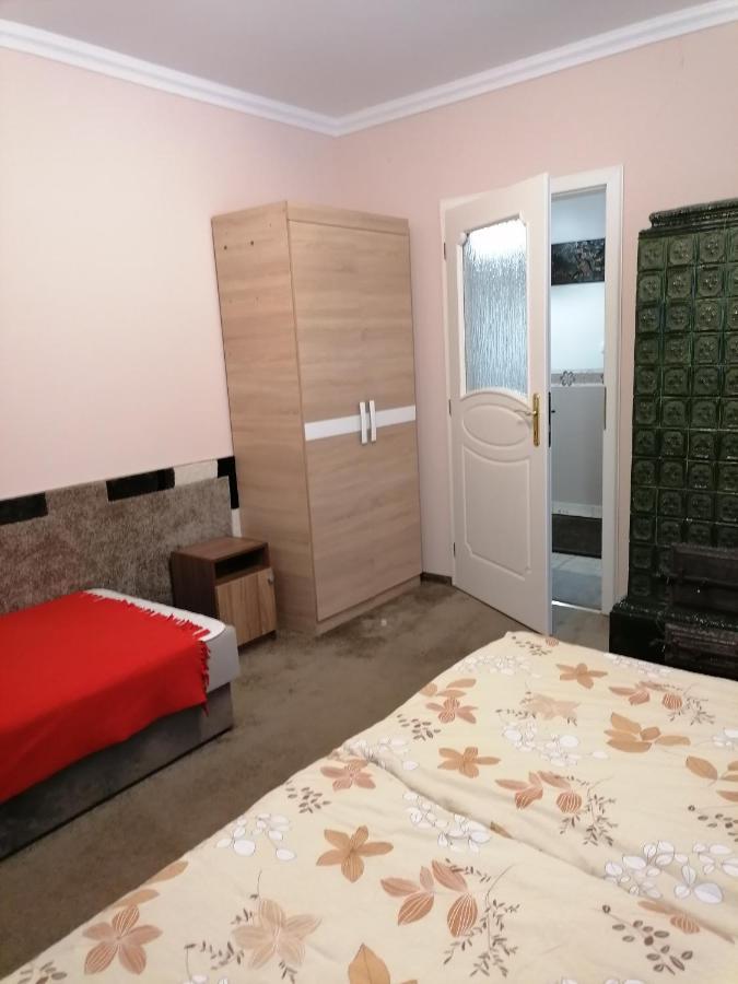 Kaktuszvirag Apartmanhaz Hajdúszoboszló Εξωτερικό φωτογραφία